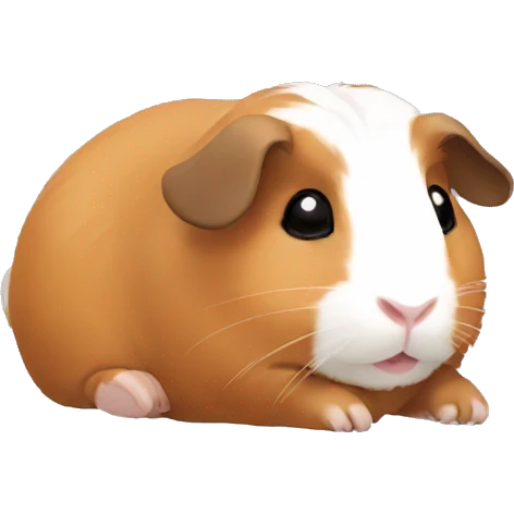 Guineapig laying down  emoji
