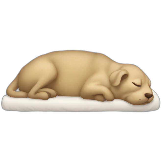 Carapuce sleep emoji
