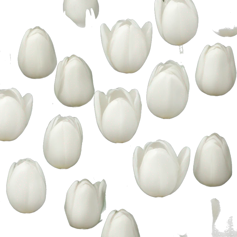 White tulipe emoji