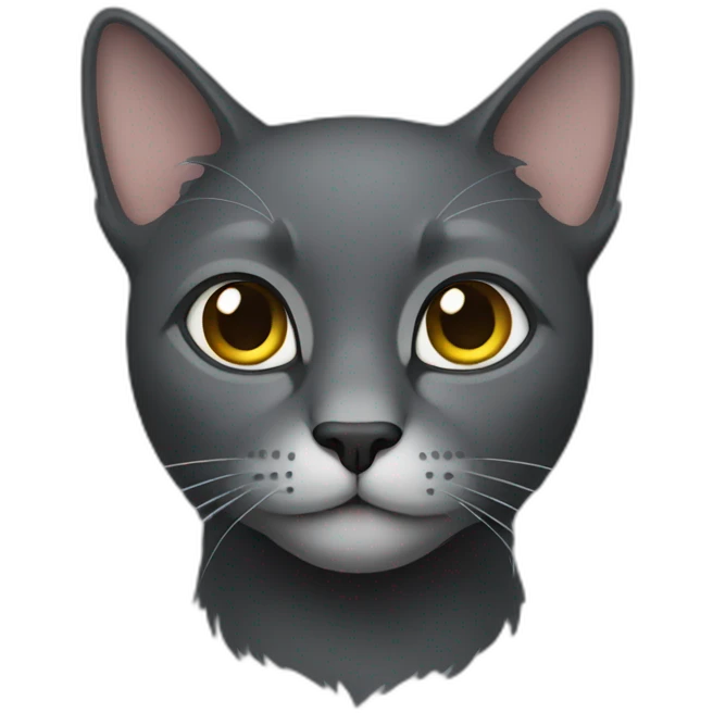 dark-gray-cat emoji