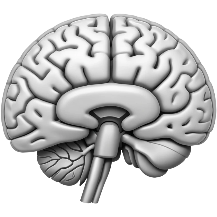 brain MRI scan radiological image emoji