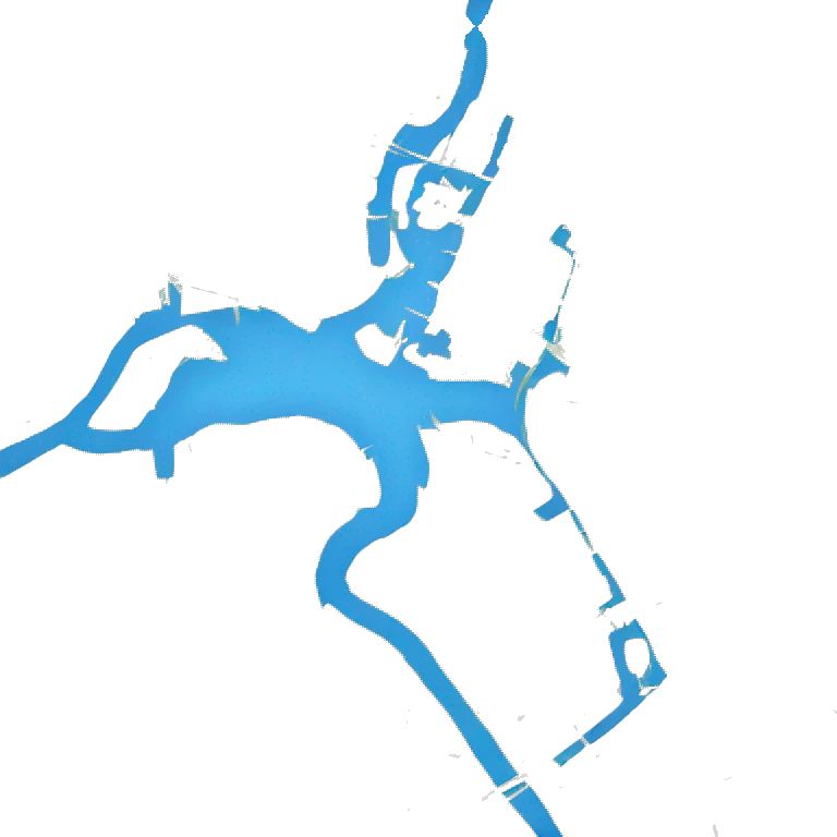 Map of dallas emoji