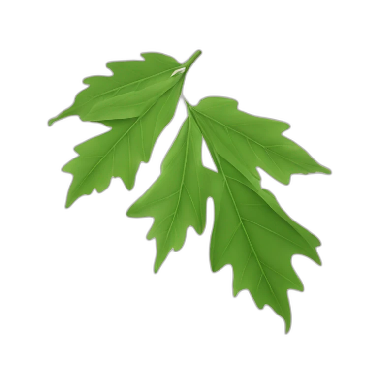 Une feuille d’érable japonais verte emoji