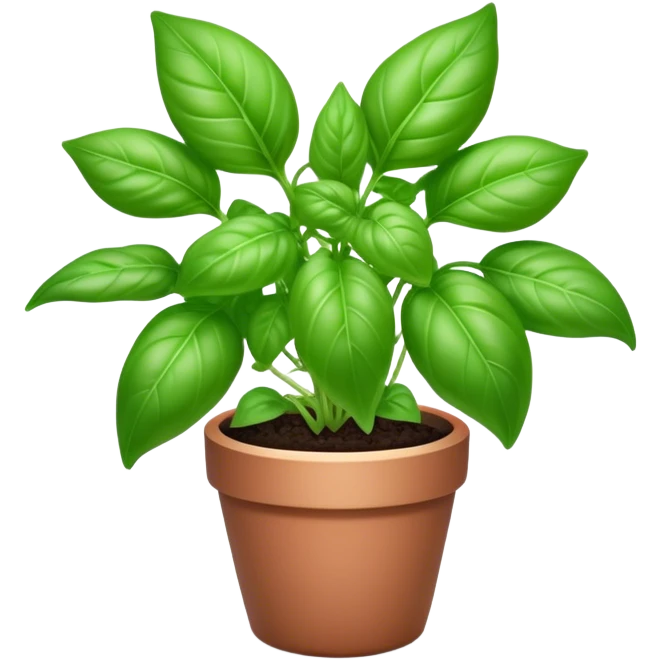Cinematic Realistic Basil Emoji, Lush and fragrant, with vibrant green leaves that release a fresh, herbal aroma. The soft, glossy leaves are delicately arranged along slender stems, exuding vitality and flavor. Soft glowing outline, capturing the essence of freshness, growth, and aromatic delight in a blossoming basil plant! emoji
