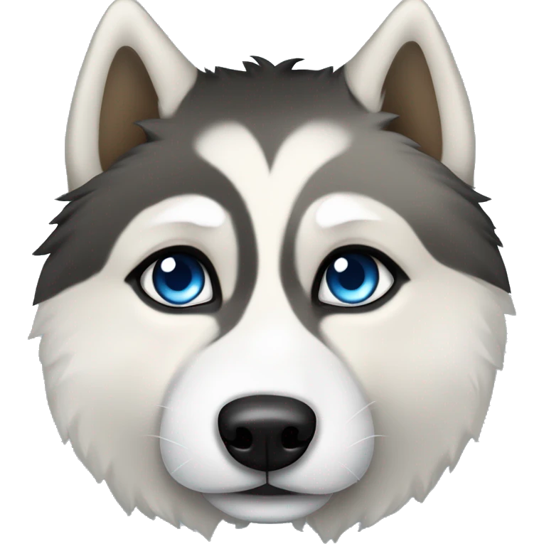 The face of a black, white, and tan Fluffy Siberian husky with blue eyes. Tan above the eyes and on the side of the face. White around the nose and up between the eyes. Black surrounding the areas emoji