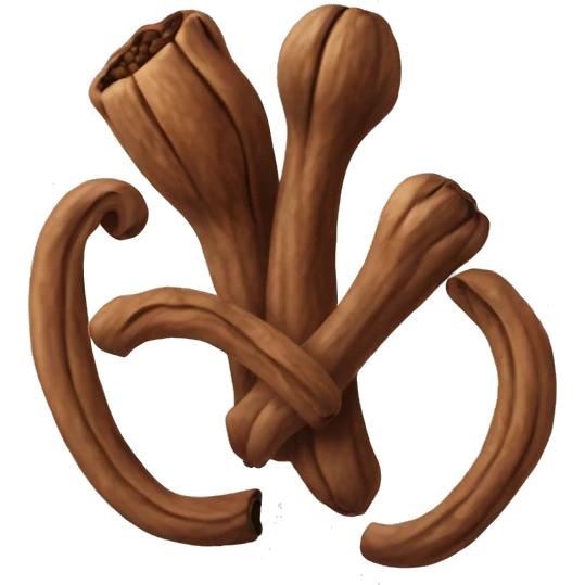 clove spice emoji