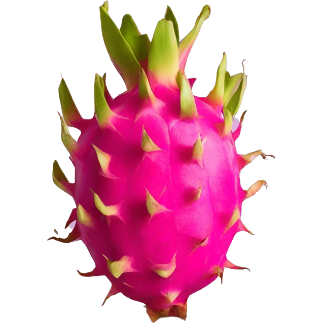 Dragon fruit  emoji