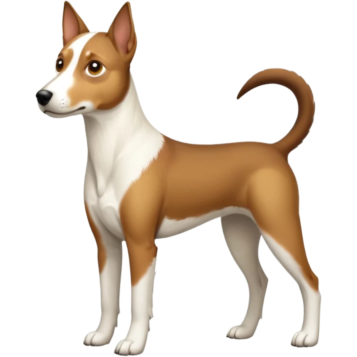 a full body large white parson russell looking dog the size of a kelpie with light brown flapped down ears and a light brown patch on one eye and a large snout emoji