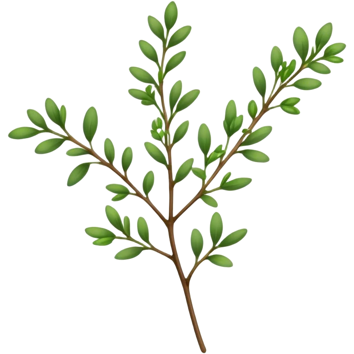 Cinematic Realistic Thyme Emoji, Compact and earthy, with tiny green leaves densely packed on delicate stems. The soft fragrance of the leaves fills the air, creating an atmosphere of warmth and subtle richness. Soft glowing outline, capturing the essence of simplicity and natural healing in a sprig of thyme! emoji