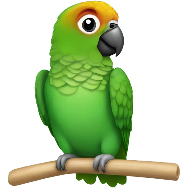 Happy Green cheek conure  emoji