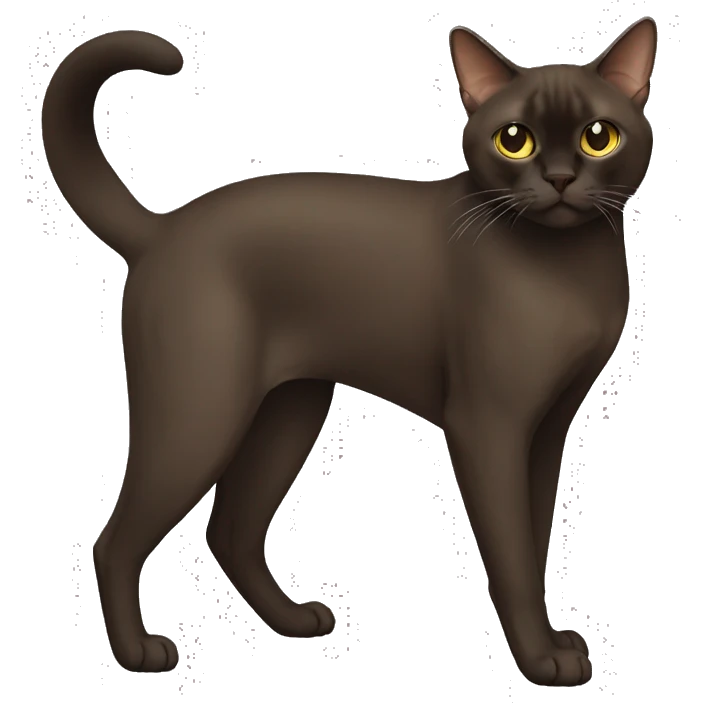 dark brown Burmese Cat Full Body emoji
