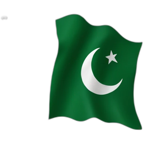 Pakistan flag realistic emoji