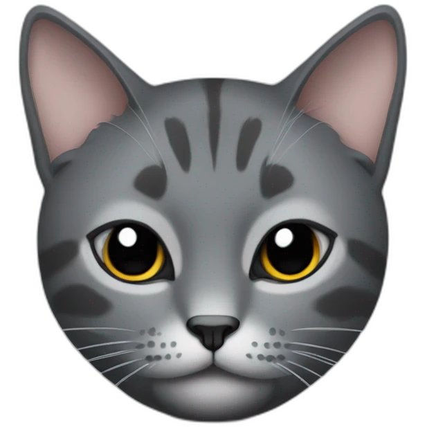 grey and black cat with one eye bigger than the other emoji