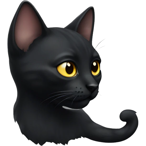 black cat emoji