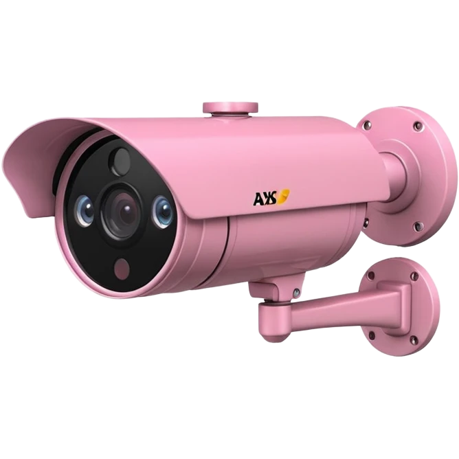 Security Camera pink Axis P1346-E emoji