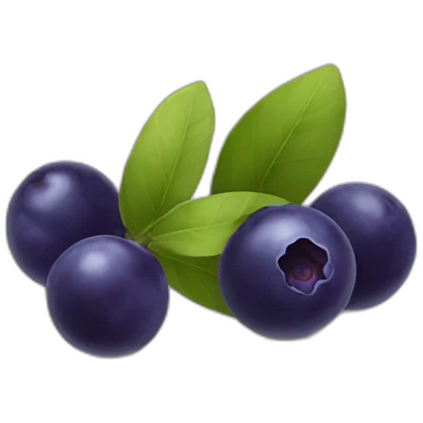 myrtille emoji