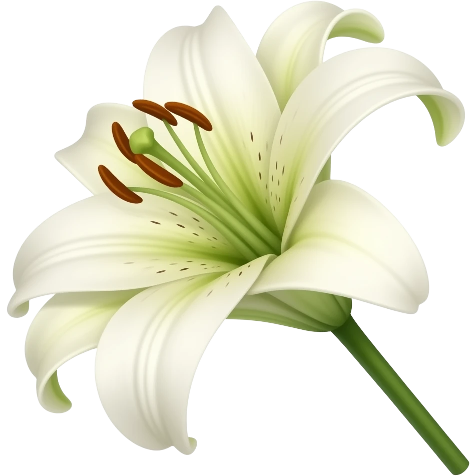 lily flower emoji