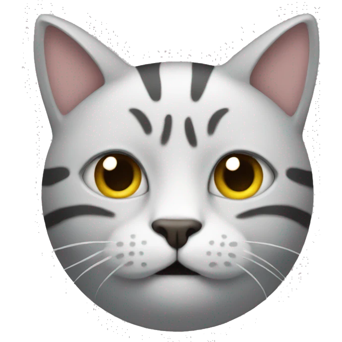 car with cat face emoji