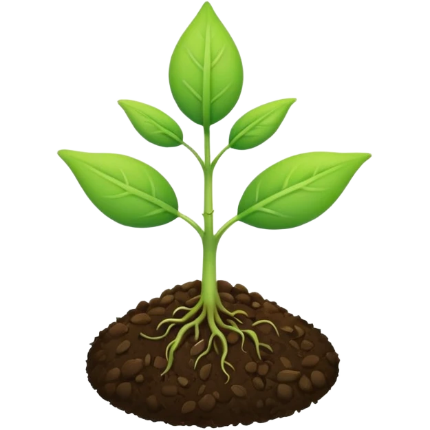 A tiny two leaf seedling coming out of a seed without any mud or gravel just a seed emoji