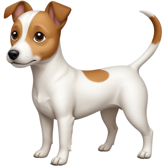 a full body white jack russel looking dog the size of a kelpie with light brown ears and a light brown patch on one eye, flopped down ears and a large snout emoji