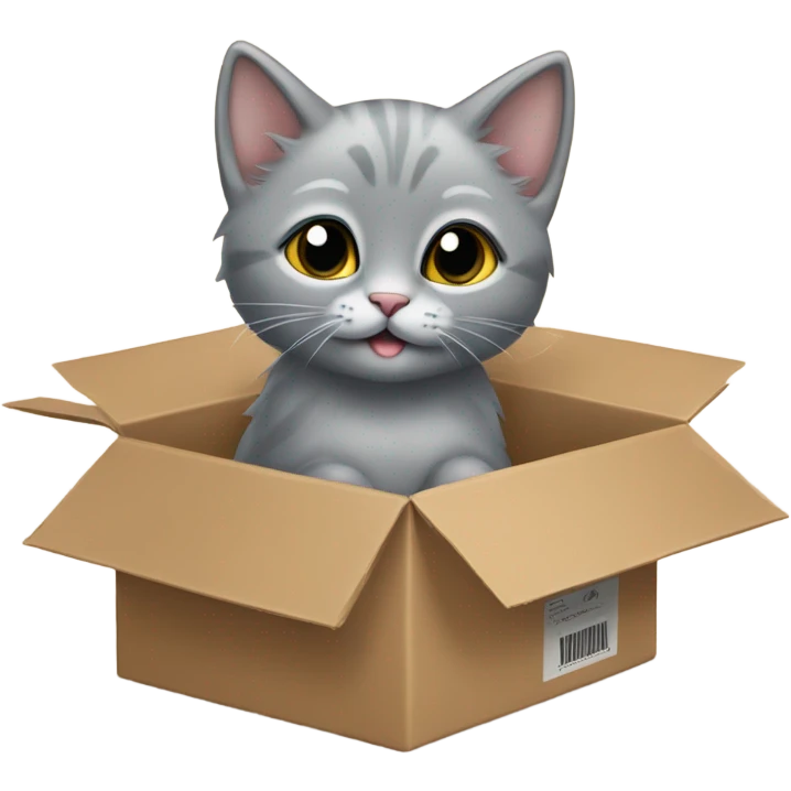 The grey kitten is in the cardboard box fo emoji