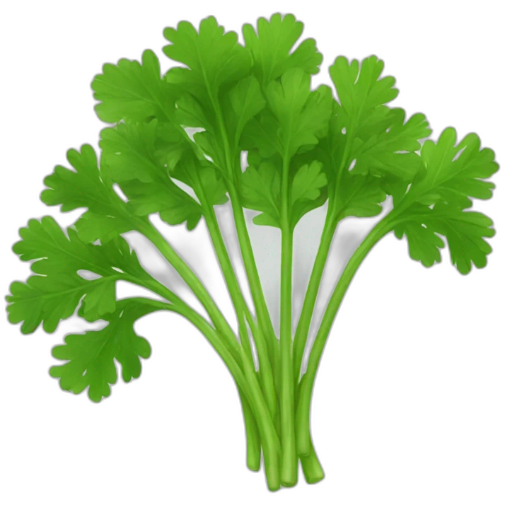 parsley emoji