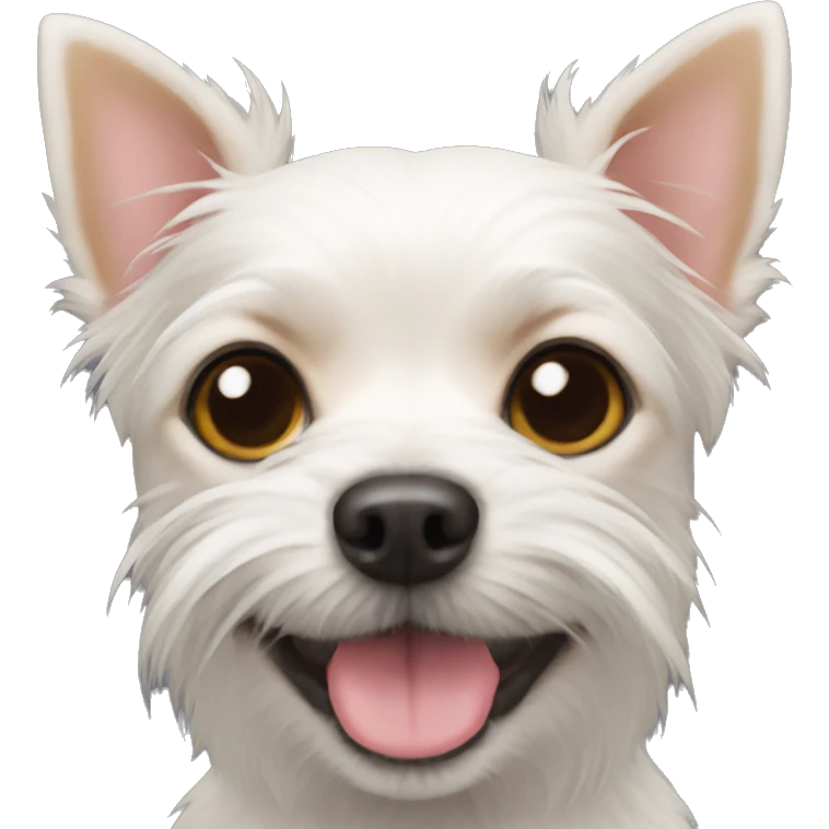 WEST HIGHLAND CHIHUAHUA TERRIER MIX emoji