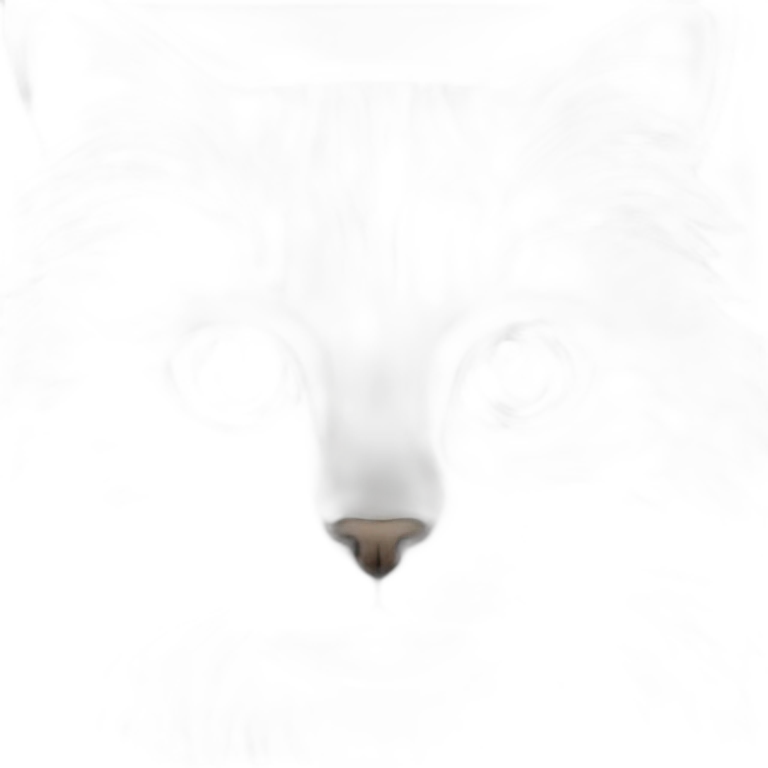 norwegian-forest-cat emoji