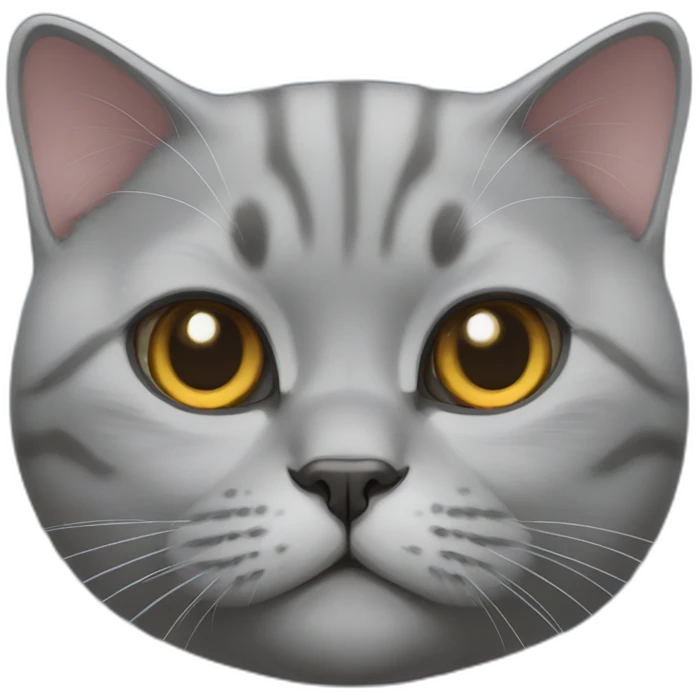 british shorthair cat emoji