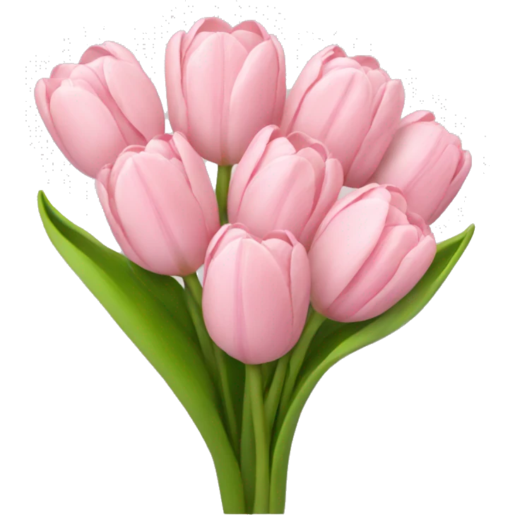 Light pink tulip bouquet  emoji