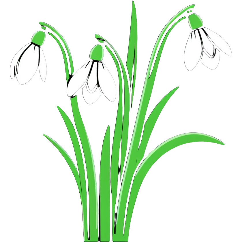 bouquet of snowdrop flowers emoji