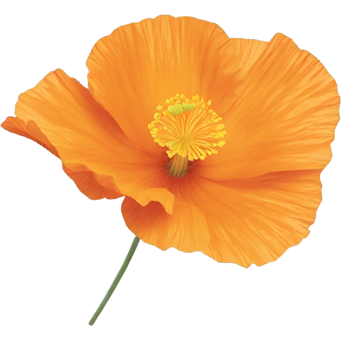 California poppy emoji