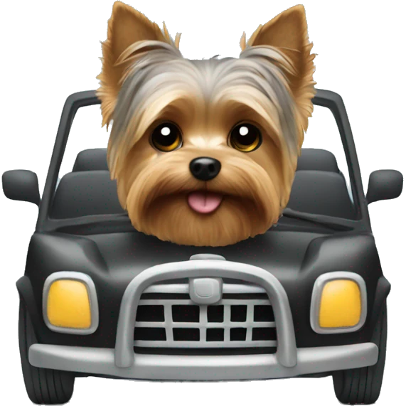 Yorkie driving  emoji
