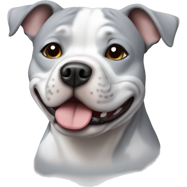 Standing Small grey Staffordshire bull terrier with a white j on his chest emoji