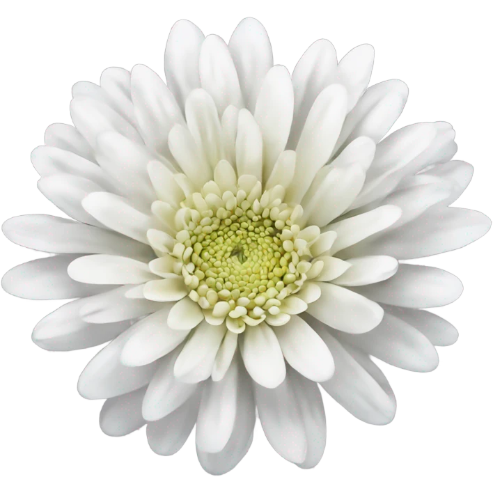 White chrysanthemum ￼ emoji