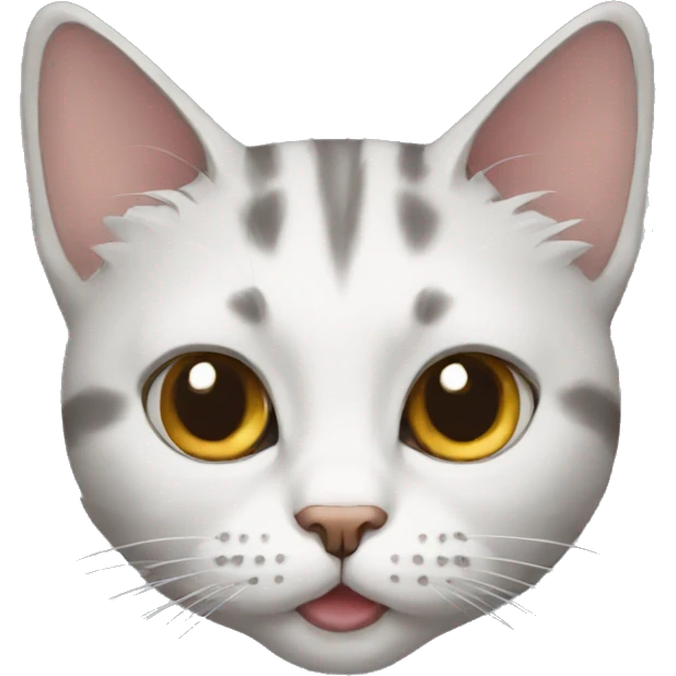 A cat emoji