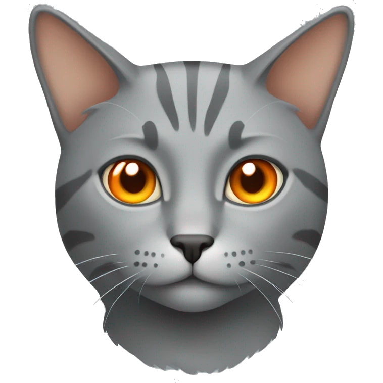 Grey cat with orange eyes emoji