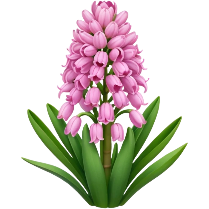 Pink hyacinth emoji