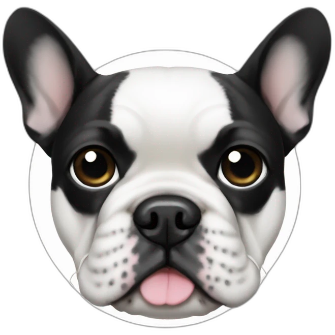 white french bulldog with black circle at eye emoji