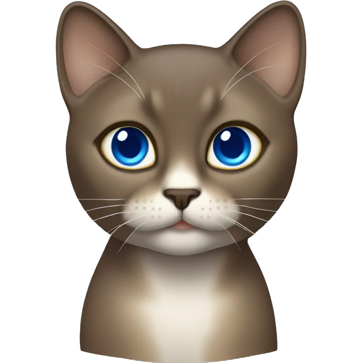 Dark Brown face - beige body female thai cat with blue eyes  emoji