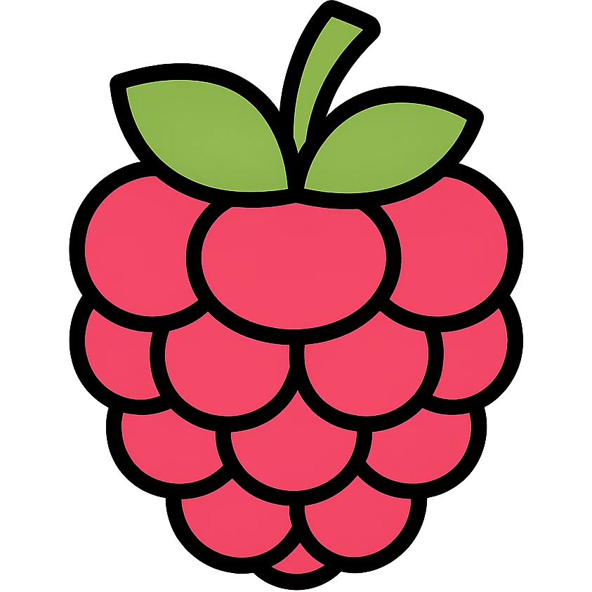 raspberry fruit color outlined icon emoji