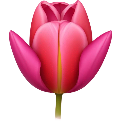 🌷💕 emoji