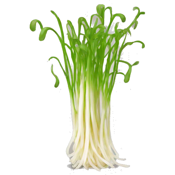 beansprouts emoji