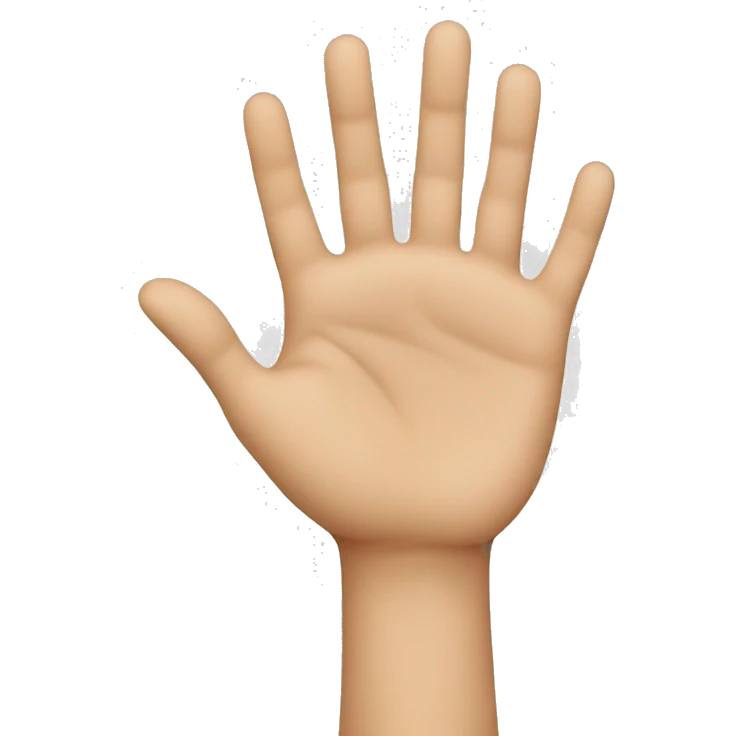Hands that form a square emoji