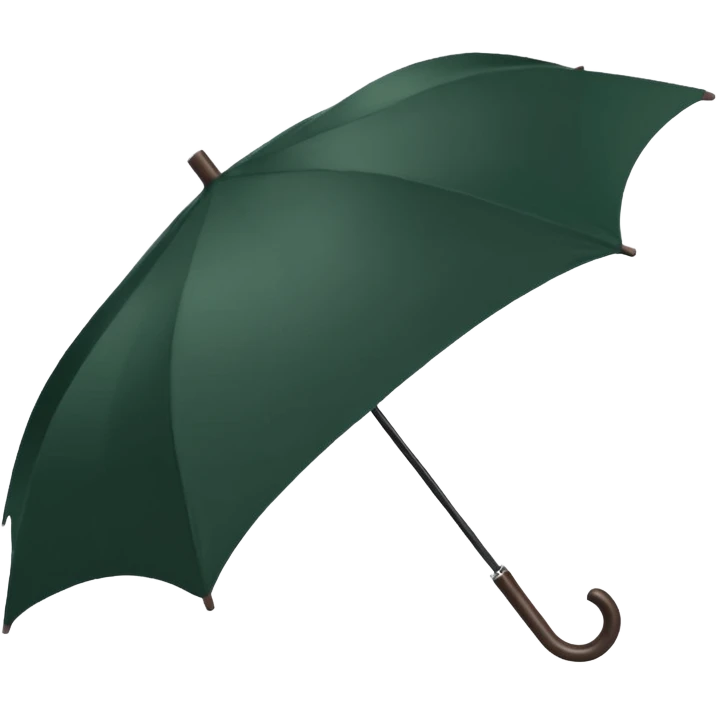 dark green umbrella emoji