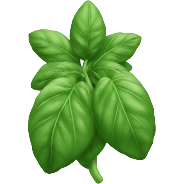 Basil emoji
