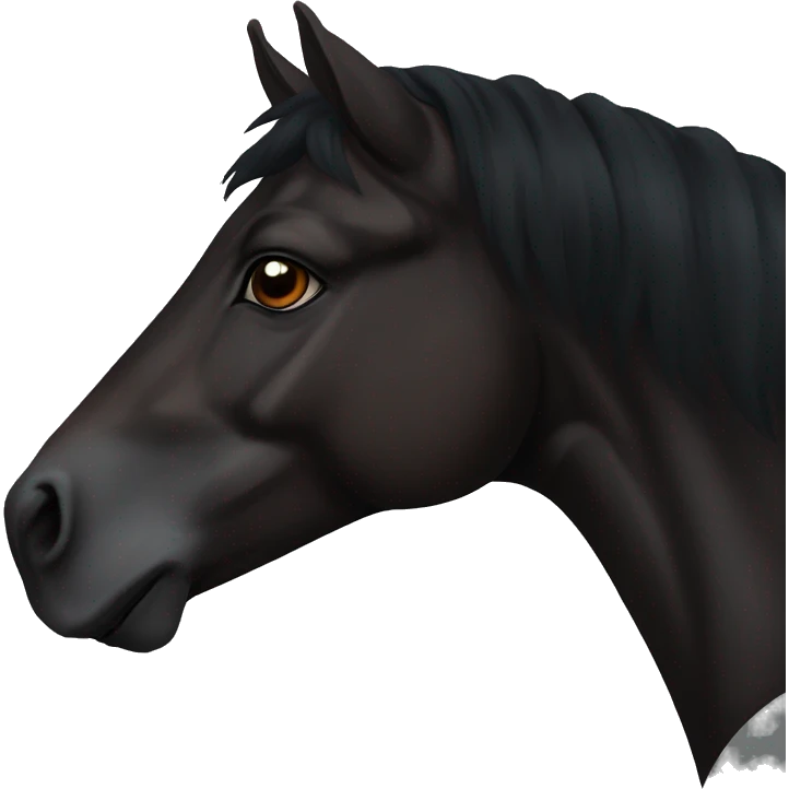 Face of a totally black horse with dark brown eyes and the end of the mane slightly brown/reddish that we see from it left side profile  emoji
