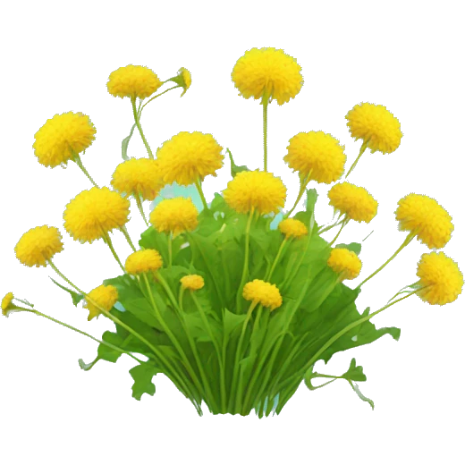 dandelions emoji