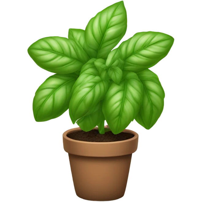 A basil plant in a pot emoji