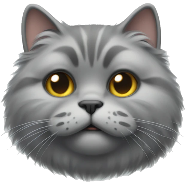 realistic fat grey fluffy cat with a small face emoji